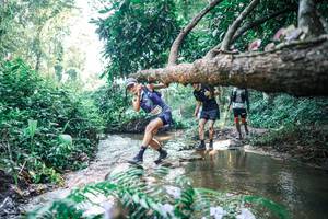 BIB: 
                            <button type="button" onclick="openModal(25438080)" class="btn btn-primary btn-sm float-right btn-popup" data-toggle="modal" data-target=".modal-high-quality">
                        <i class="fas fa-shopping-cart"></i> Add to Cart
                    </button>
                                            <button type="button" onclick="isThisMe(25438080, true)" class="btn btn-success btn-sm float-right btn-popup btn-isme hidden" data-toggle="tooltip" data-placement="bottom" title="นี่คือรูปของคุณใช่ไหม คลิกที่นี่เพื่อเอาเข้าอัลบั้ม">
                        <i class="fas fa-plus"></i> Add to album
                    </button>
                    <button type="button" onclick="isThisMe(25438080, false)" class="btn btn-warning btn-sm float-right btn-popup btn-isnotme hidden">
                        <i class="fas fa-ban"></i> Remove from album
                    </button>